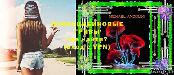 молекула духа Абинск