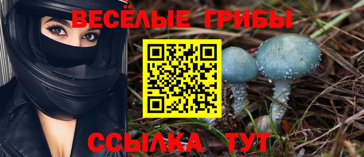магазин продажи наркотиков  Псилоцибиновые грибы прущие грибы  Вход с VPN  Сызрань 